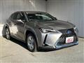 2019 Lexus Other