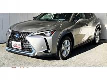 2019 Lexus Other