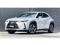 2019 Lexus Other