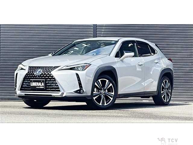 2019 Lexus Other
