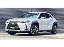 2019 Lexus Other
