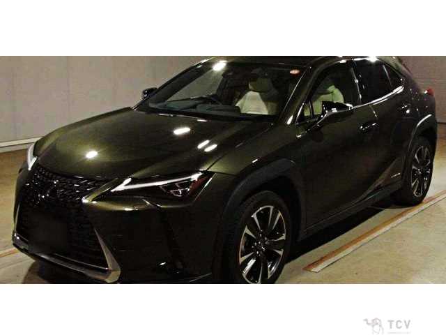 2019 Lexus Other
