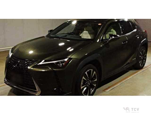 2019 Lexus Other