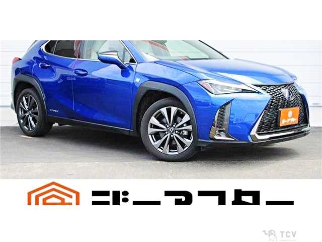 2019 Lexus Other