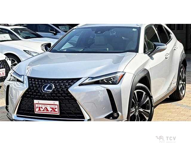 2019 Lexus Other