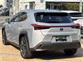 2019 Lexus Other