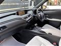 2019 Lexus Other