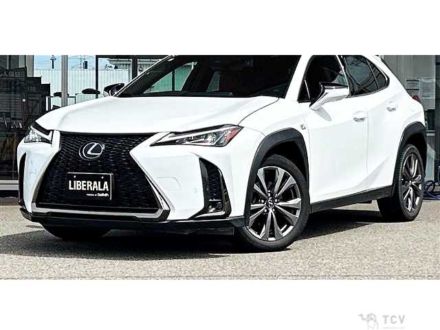 2019 Lexus Other