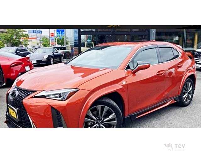 2019 Lexus Other