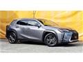 2019 Lexus Other