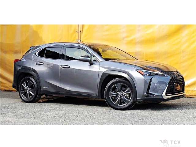 2019 Lexus Other