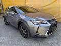 2019 Lexus Other