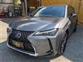 2019 Lexus Other
