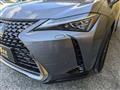 2019 Lexus Other
