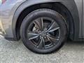 2019 Lexus Other