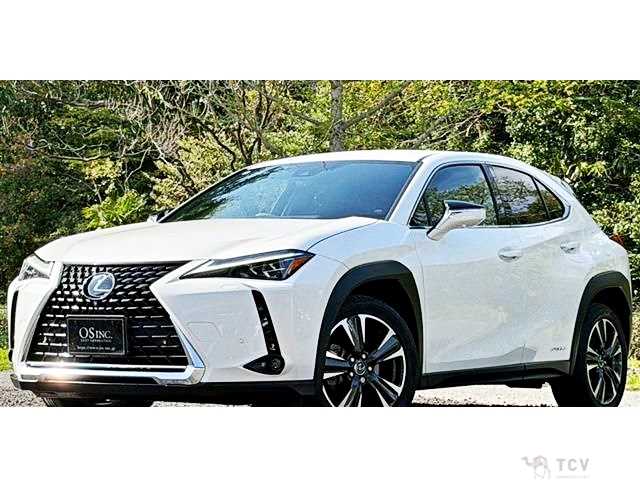 2019 Lexus Other