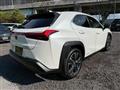 2019 Lexus Other