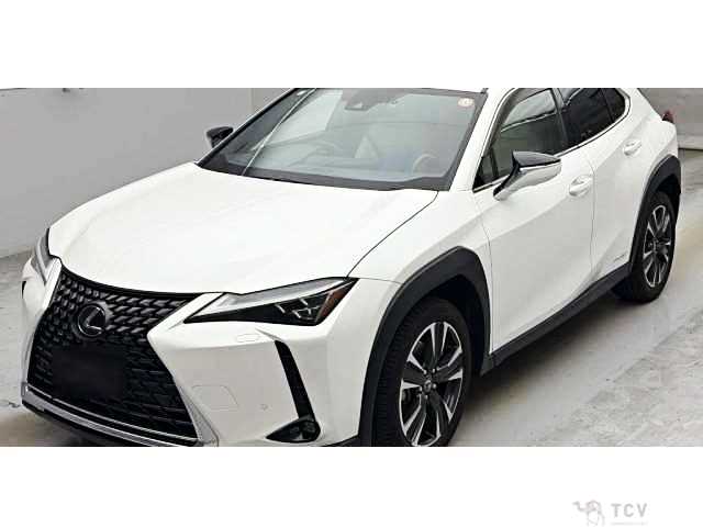 2019 Lexus Other