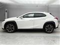 2019 Lexus Other