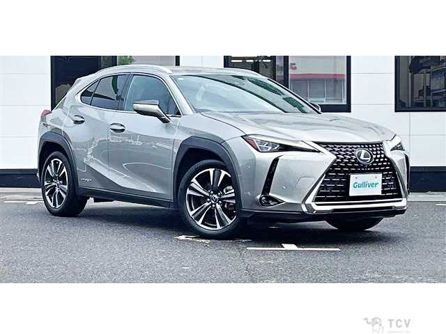 2019 Lexus Other
