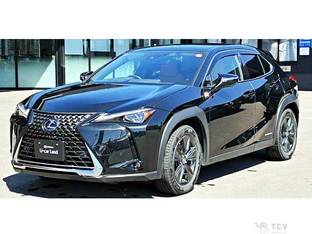 2019 Lexus Other