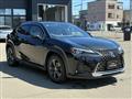 2019 Lexus Other