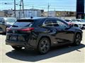 2019 Lexus Other