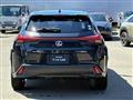 2019 Lexus Other