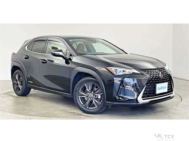 2019 Lexus Other