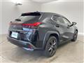 2019 Lexus Other