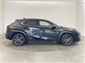 2019 Lexus Other