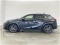 2019 Lexus Other