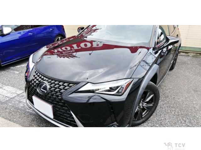 2019 Lexus Other