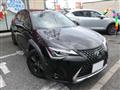 2019 Lexus Other