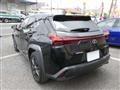 2019 Lexus Other