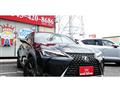 2019 Lexus Other