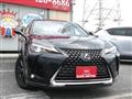 2019 Lexus Other