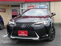2019 Lexus Other