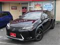 2019 Lexus Other