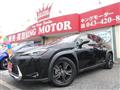 2019 Lexus Other