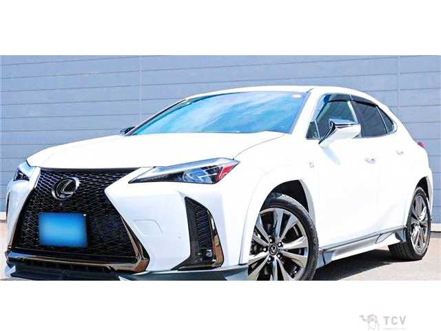 2019 Lexus Other