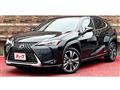 2019 Lexus Other