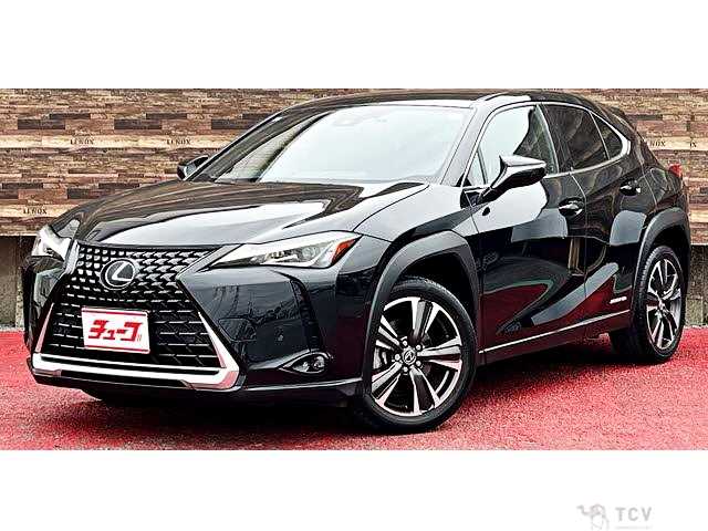 2019 Lexus Other