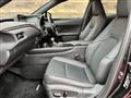 2019 Lexus Other