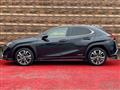 2019 Lexus Other