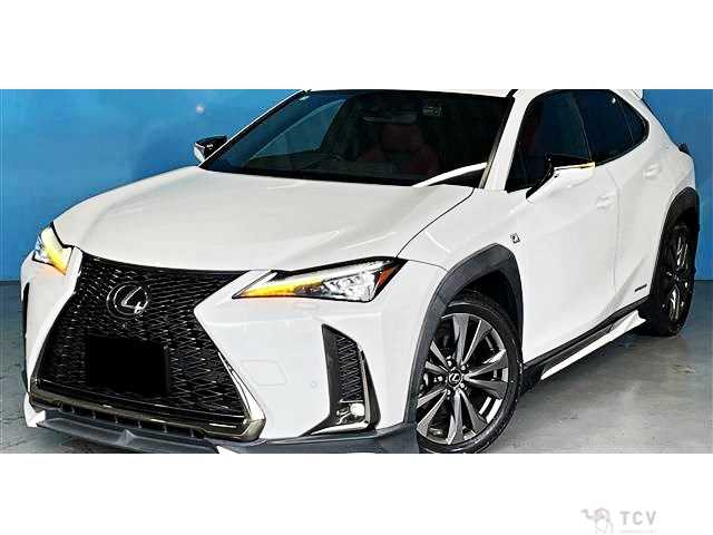 2019 Lexus Other