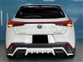2019 Lexus Other