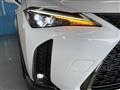 2019 Lexus Other