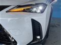 2019 Lexus Other