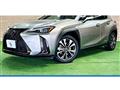 2019 Lexus Other
